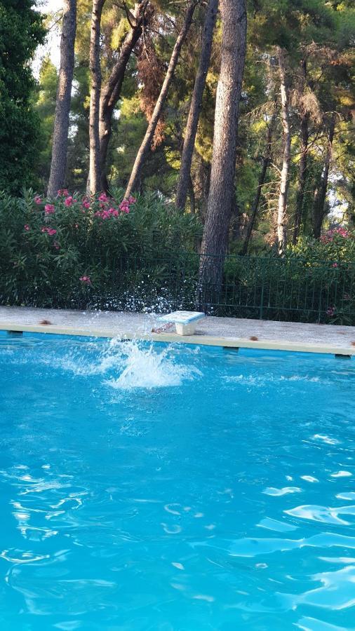 Sani Christy Sani (Chalkidiki)