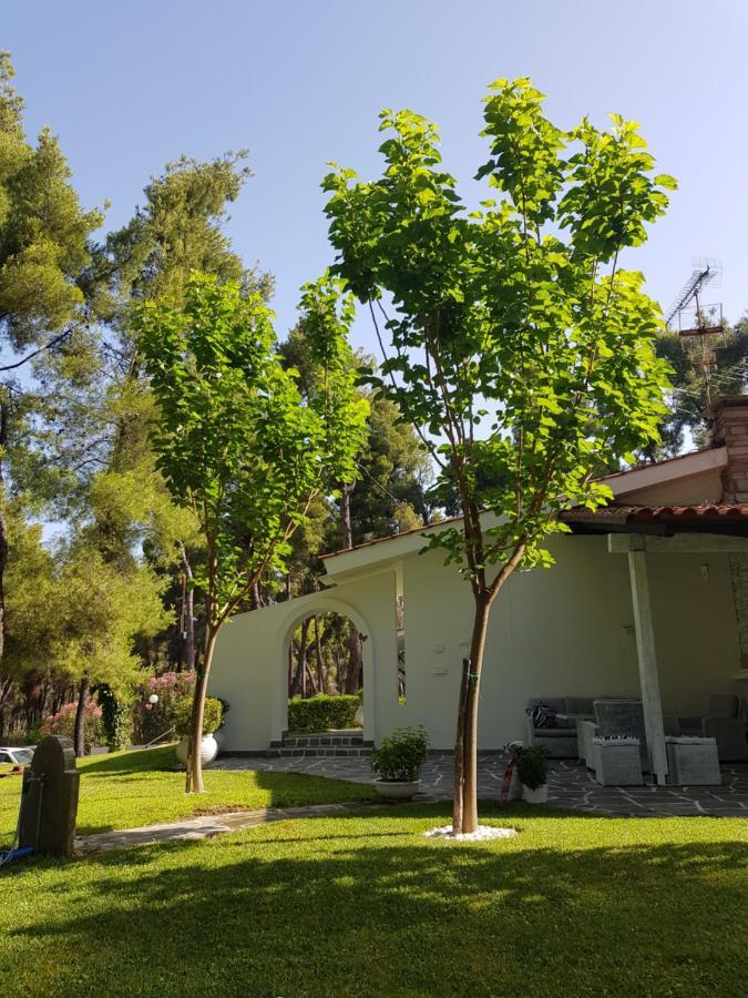 Sani Christy Ferienhaus *